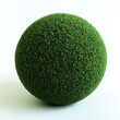 © Shahida - 3D rendering Lush green grass sphere texture on white background design element