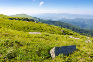 Wall Mural - white sharp stones on the hillside. scenic travel destination of ukraine. lovely carpathian mountain