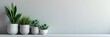 © Theerawat - Minimalist succulents in pots, gray wall background , details, bedroom, minimalist