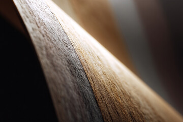 Poster - Curved wood texture, luxury material, artistic composition, plain color, abstract, closeup, smooth surface