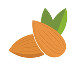 Migdał migdały ilustracja