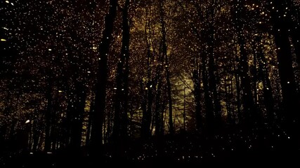 Wall Mural - illuminated forest with glowing particles creating a magical and ethereal scene, dark woodland with 