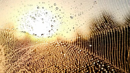 Close-up view of an intricate spiderweb covered in water droplets glistening in bright sunlight in an outdoor location in a natural setting.