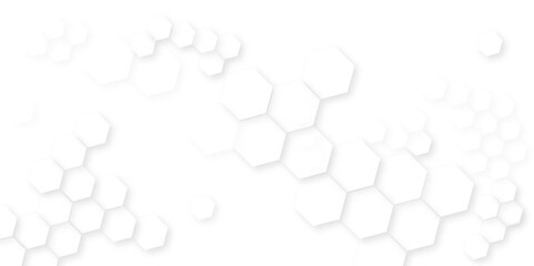 Canvas Print - abstract white and black lines 3d hexagonal, modern abstract vector polygonal pattern, showcasing ge