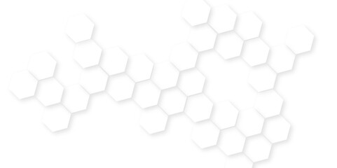 Canvas Print - abstract white and black lines 3d hexagonal, modern abstract vector polygonal pattern, showcasing ge