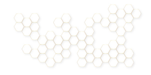 Canvas Print - abstract geometric mesh cell texture modern futuristic wallpaper, white 3d render hexagonal geometri