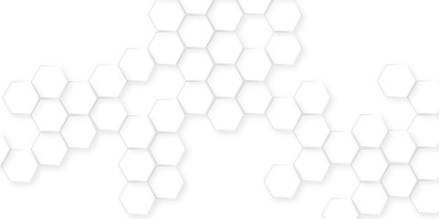 Canvas Print - abstract white and black lines 3d hexagonal, modern abstract vector polygonal pattern, showcasing ge