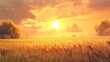© Almas Ikhwan - Golden wheat field at sunset