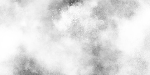 Canvas Print - abstract soft textured white and black with gray speckles background, soft white watercolor grunge t
