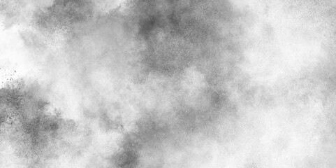 Canvas Print - abstract soft textured white and black with gray speckles background, soft white watercolor grunge t