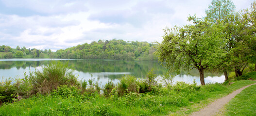 Wall Mural - spring morning meadow near the river with green trees on the shore.