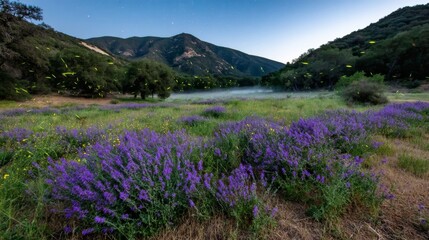 Aufkleber - A tranquil field filled with vibrant purple wildflowers captures the essence of twilight, as glowing insects dance above under a starlit sky