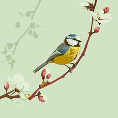 Naklejka na meble Vibrant vector art of a colorful Eurasian Blue Tit perched among spring blossoms, perfect for nature-themed designs and digital artwork.