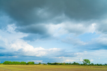 Wall Mural - beautiful fluffy clouds with blue sky background.