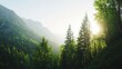 © Yopi - Summer Mountain Landscape Featuring Lush Green Trees and Gentle Sunlight Peeking Through