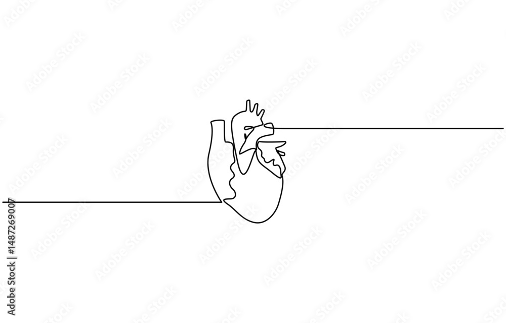 Vector de Stock Single continuous line art anatomical human heart ...