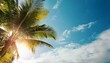 © Jaxon - copy space of tropical palm tree with sun light on sky background