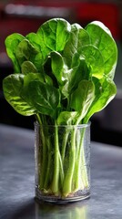 Poster - Fresh bunch of vibrant green spinach leaves in a glass, glistening with water droplets, sits on a metallic surface.  A healthy and nutritious food image. : Generative AI