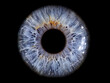 © Maik - Close-up of a Detailed Human Iris Texture