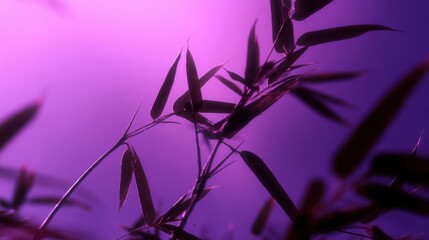 Leinwandbilder - Silhouette of bamboo leaves against a vibrant purple sky, showcasing the delicate structure and elegant lines of the plant. : Generative AI