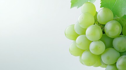 Poster - A cluster of ripe, green grapes hangs from a vine, showcasing their smooth skin and delicate texture against a soft, light background. : Generative AI