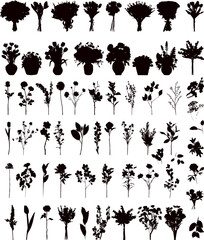 Wall Mural - flowers, bouquets of flowers silhouette, vector