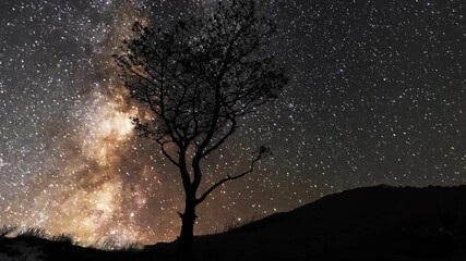 Wall Mural - beautiful night sky time lapse with milky way galaxy over trees silhouette. night tight landscape st