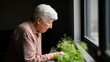 © Kamonwan - An elderly person tending to small green plants by a window, showcasing a serene moment of connection with nature and the joy of nurturing life in a calm indoor environment.