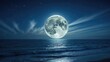 © VRVisionary - Nighttime scene featuring a full moon above the ocean and clouds