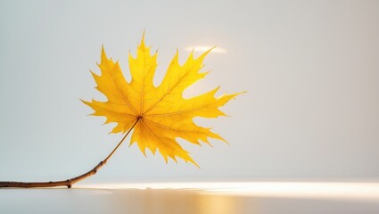 Poster - Isolated autumn maple branch featuring leaves against a background