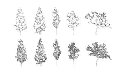 Aufkleber - Minimal style cad tree line drawing, Side view, set of graphics trees elements outline symbol for architecture and landscape design drawing. Vector illustration in stroke fill in white. Tropical