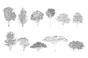Aufkleber - Minimal style cad tree line drawing, Side view, set of graphics trees elements outline symbol for architecture and landscape design drawing. Vector illustration in stroke fill in white. Tropical