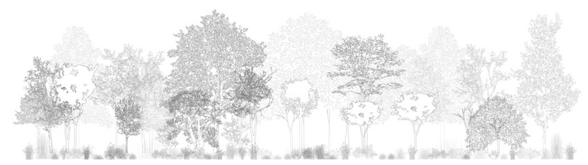 Aufkleber - Architectural Drawings, Minimal style cad tree line drawing, Side view, set of section wetland forest outline for landscape design drawing. Vector illustration in seperate element