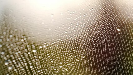 Close-up of a delicate spiderweb covered in dewdrops, showcasing intricate patterns and reflections with nature background providing depth and contrast