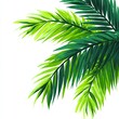 © Kavita - Tropical Palm Leaves Background