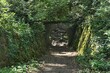 © zayacsk - Underpass with moss covered walls and stone arc bridge above, surrounded by spring foliage of old part of botanical garden. Spring daylight sunshine.