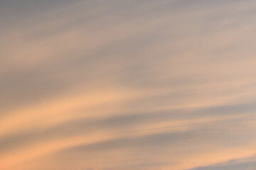 Wall Mural - beautiful golden sky and white cloud background in springtime