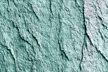 Wall Mural - texture background