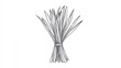© Mundhut - Lemongrass bundle, kitchen herb, cooking ingredient, white background, food illustration
