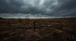 © faturlp24 - Barren Landscape Under Ominous Sky