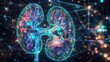 © adiar - Digital representation of kidneys with intricate city-like structures and glowing network connections