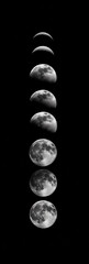 Wall Mural - a vertical sequence of 7 grayscale moons increasing in size and visibility from a thin crescent to a full moon, arranged from top to bottom, centered alignment on black background.