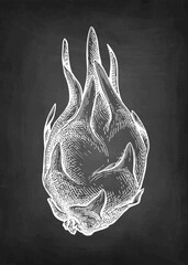 Wall Mural - dragon fruit chalk sketch.