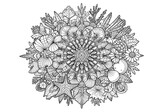 Detailed Black and White Seashell and Coral Design. A complex, intricate black and white design featuring a multitude of stylized Seashell and Coral elements arranged in a circular pattern.