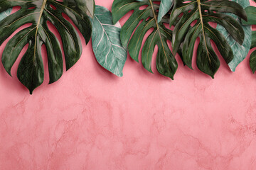  A Tropical Leaf Border on a Textured Pink Background