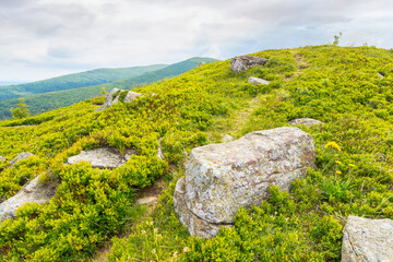 Wall Mural - trail through green grassy hill. carpathian mountain landscape in summer. alpine highlands of ukrain