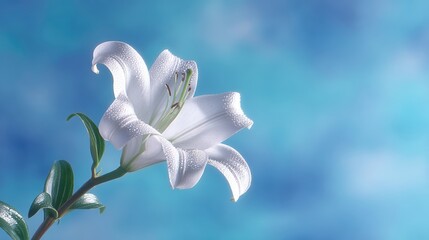 Poster - Elegant White Lily Blooming Against a Vibrant Neon Background With Open Space