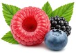 © PP Creative - Close up of a raspberry, blueberry and blackberry with leaves isolated on a white background