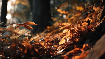 Aufkleber - Autumn Leaves Glowing in Forest Sunlight, Evoking Seasonal Beauty and Tranquility for Travel and Nature Photography : Generative AI