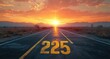 © btiger - Long empty road with yellow lane markings and the number 225 painted on asphalt leading to a vibrant sunset over distant mountains in a desert landscape